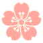 Pink Cherry Blossom_0.png