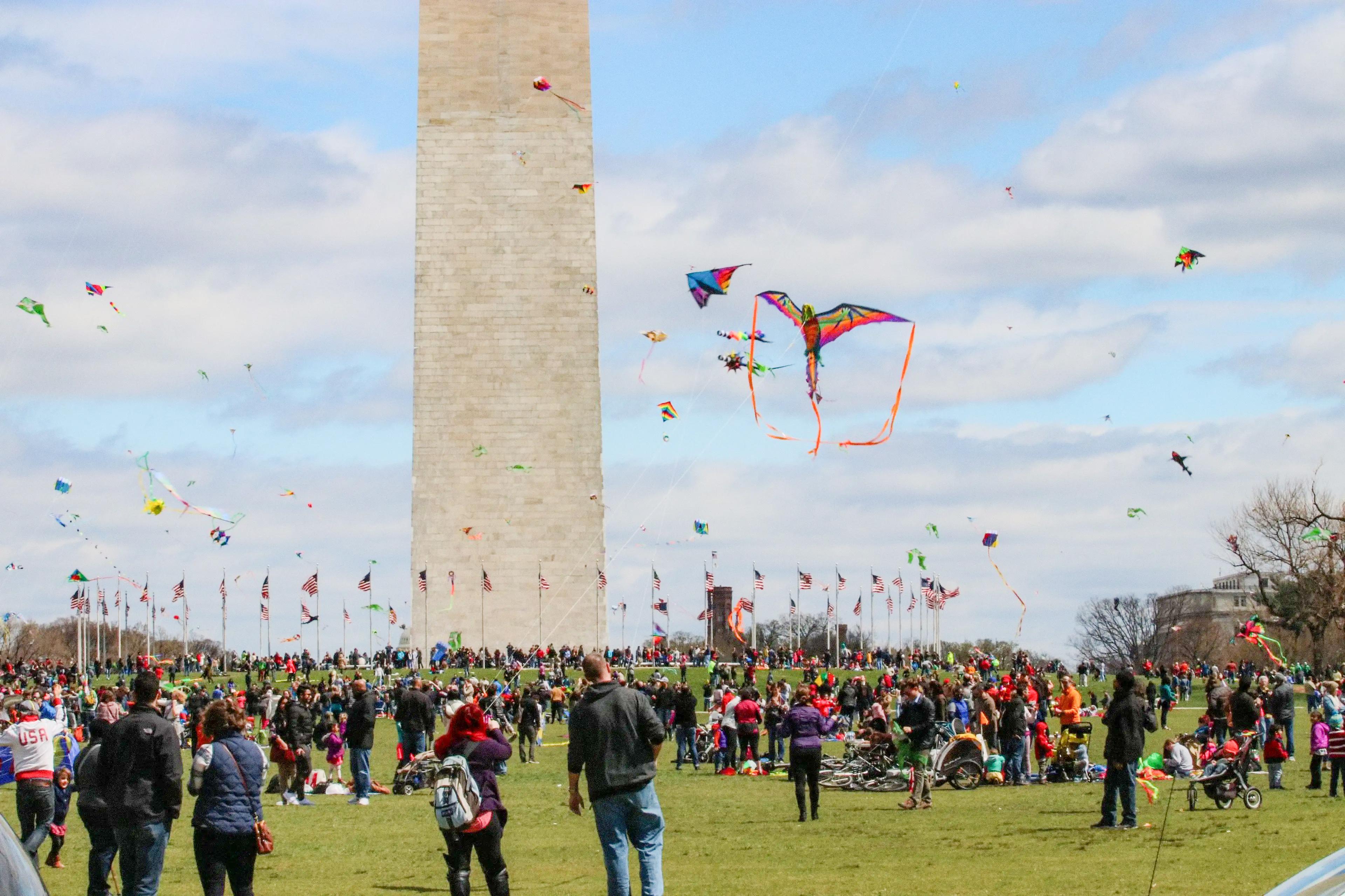 Image for Blossom Kite Festival 
