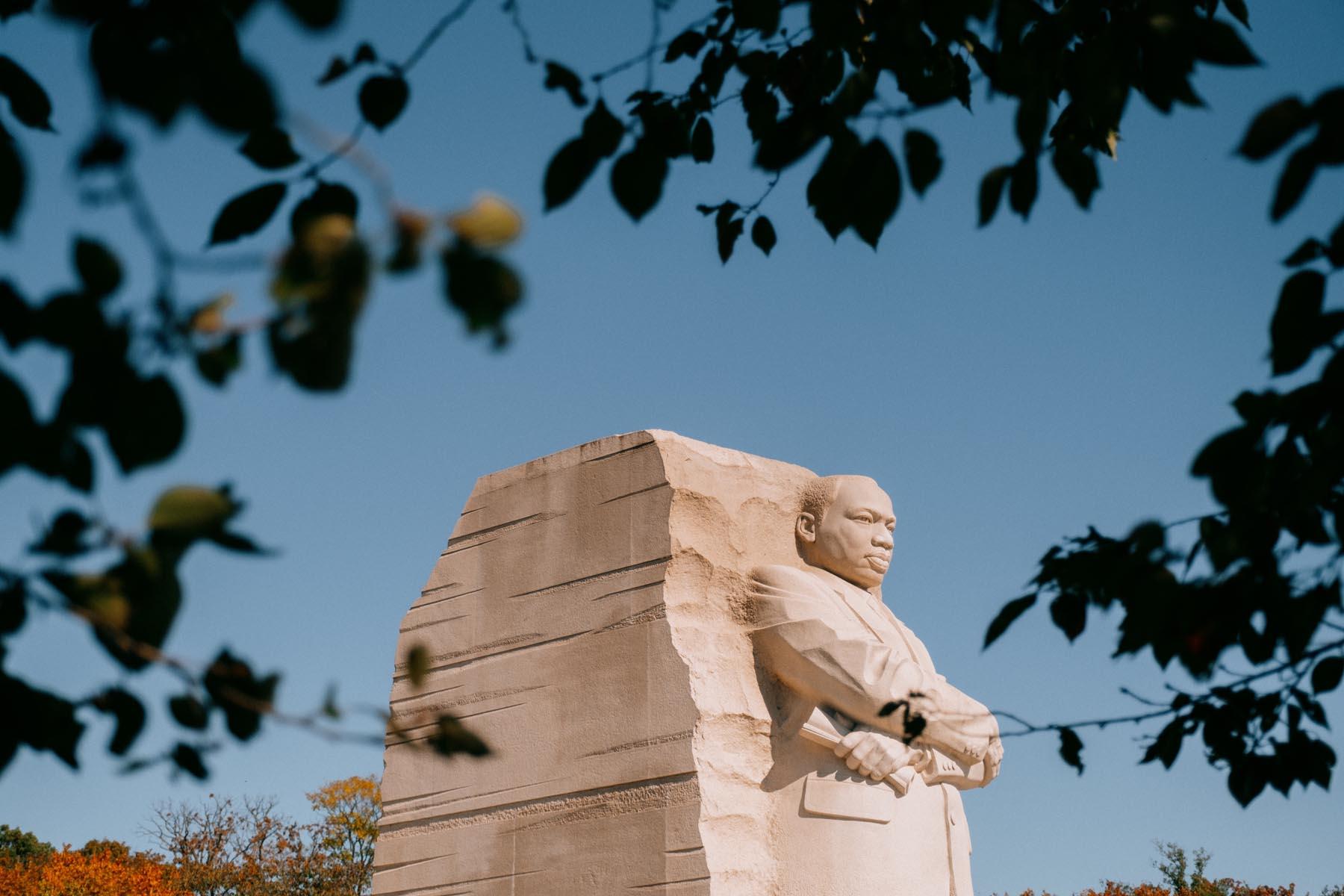 A framed view of the Martin Luther King Jr. Memorial through tree branches, capturing the statue from a side angle with a clear blue sky in the background.