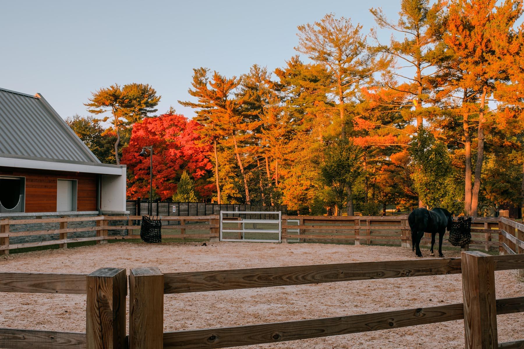 A paddock at the U.S. Park Police Horse Stables during sunset, with vibrant orange and red autumn trees framing the scene.