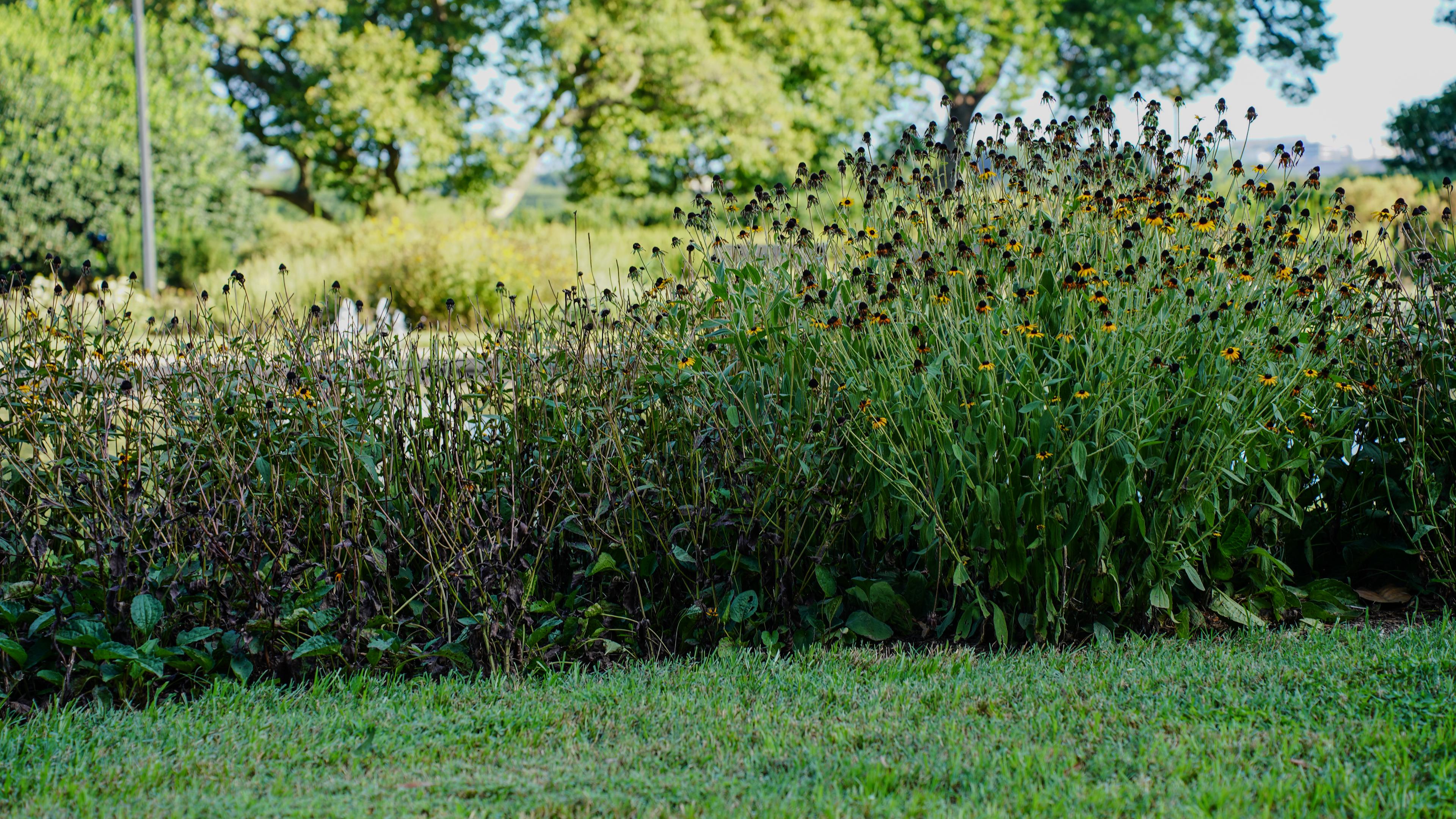 Mason Memorial Garden