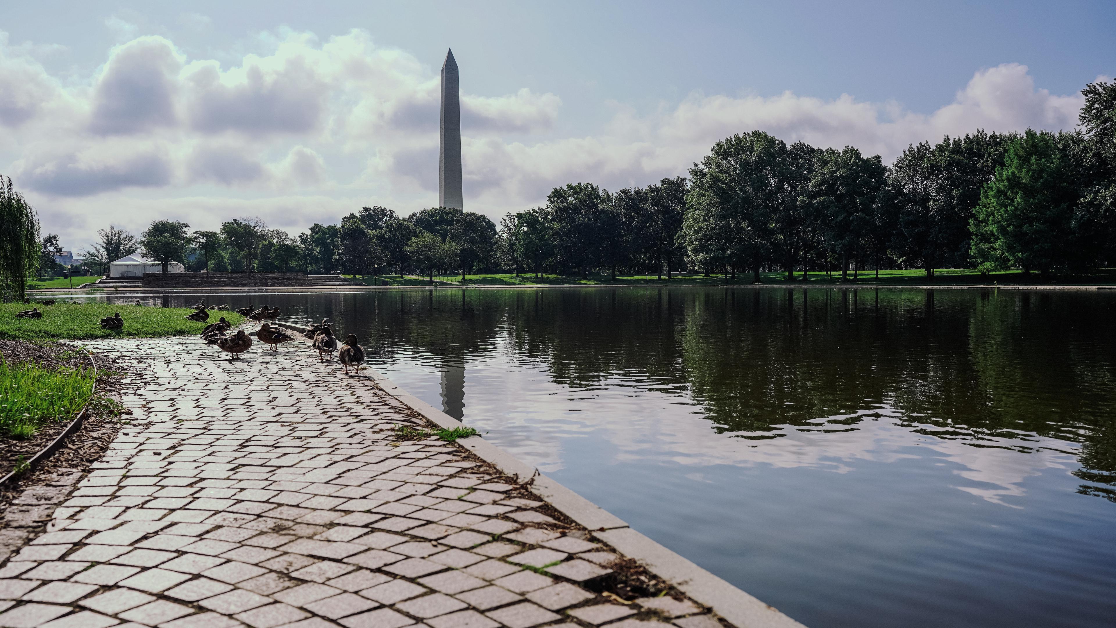 Ducks resting on Signer's Island with the Washington Monument in the background