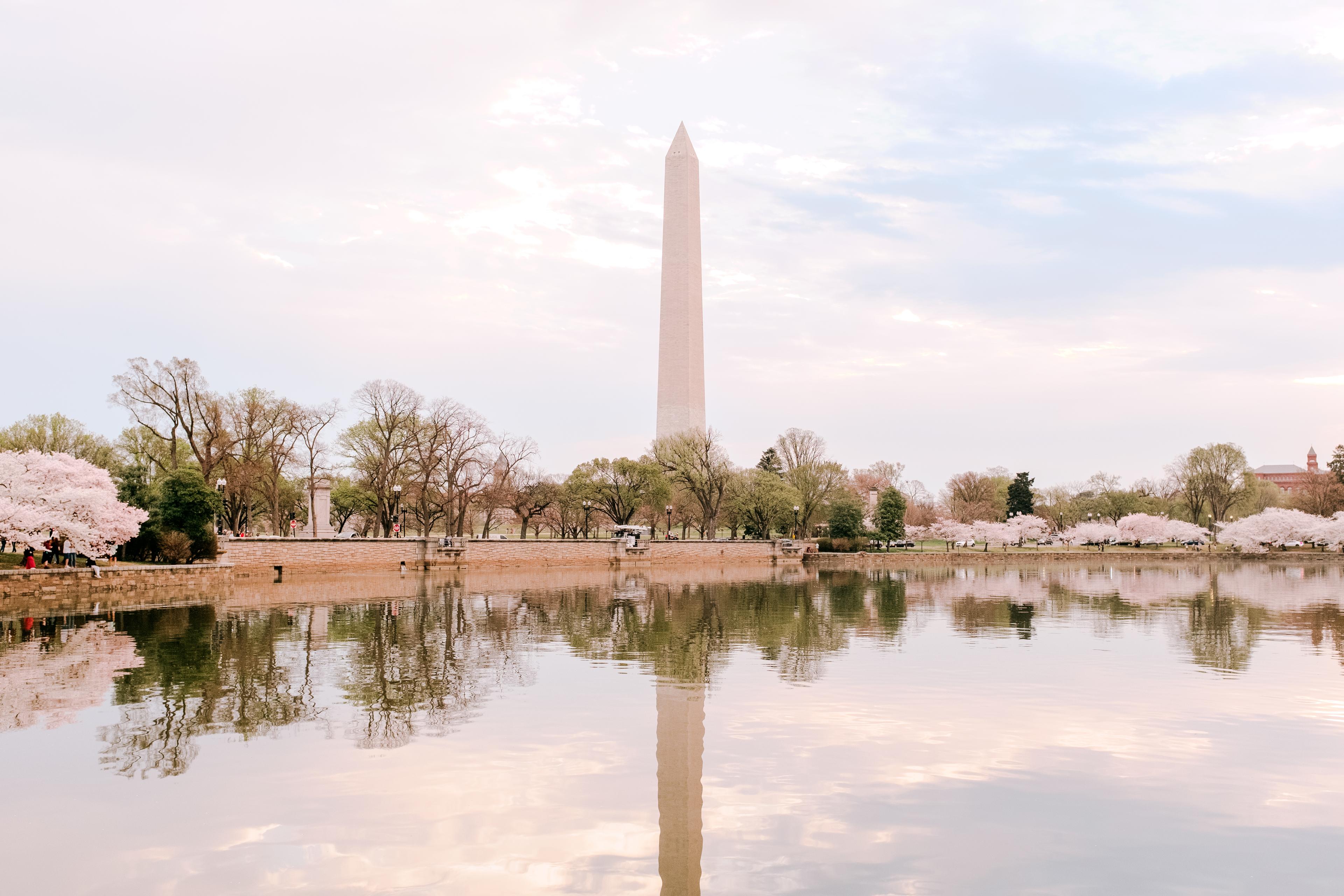 View of Washington Monument from the Tidal Basin during cherry blossom season
