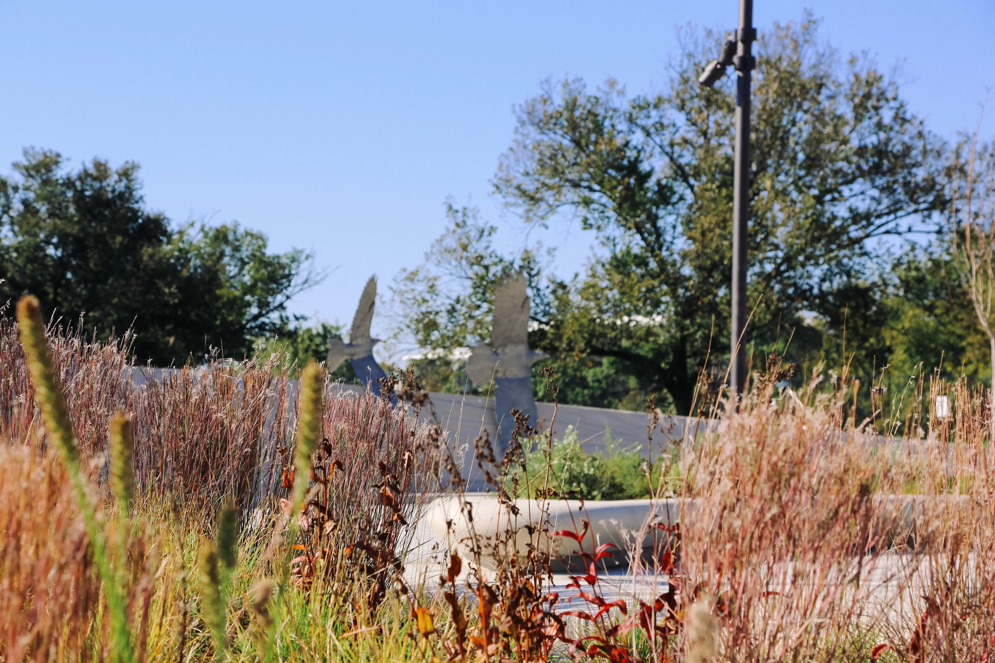 View of the Falcons sculpture from between the plants and flora in the mini dune.